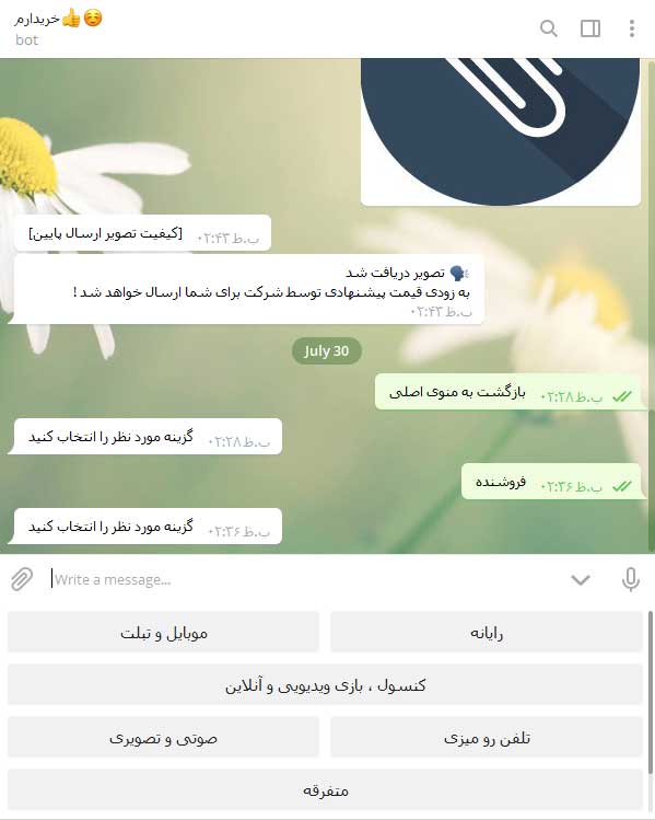 Design and programming of a dedicated Telegram bot for my buyer